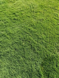 ثيل ديالى الطبيعي 🏡. السعر المتر  (2000) توصيل مجاني   نقدم لكم افضل ا...