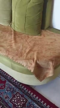 طخم للبيع للتواصل الاتصال على الرقم 07708344998