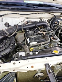 شاصي 19 • ٢٠١٤ • رقم ميسان