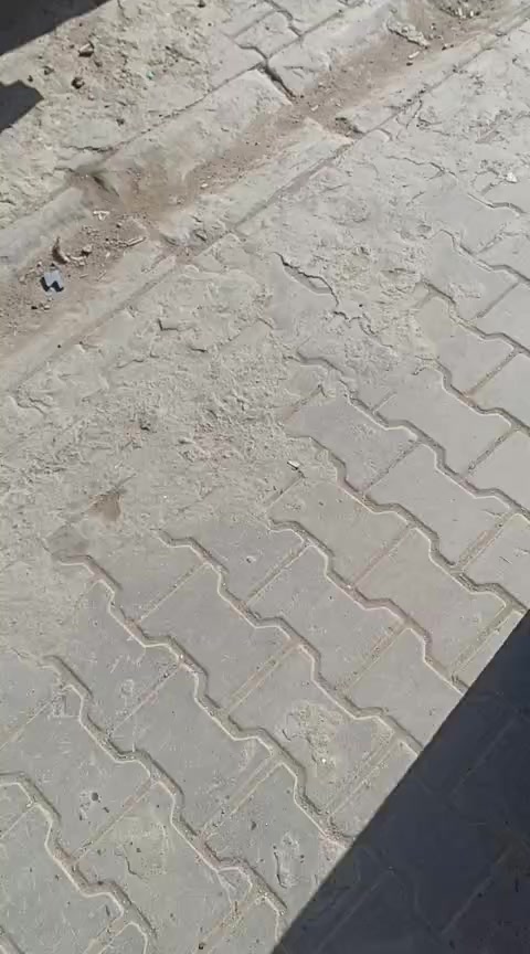 السلام عليكم دار للبيع طاب صرف كوفه شارع الجمهوريه السعر خاص على هذا الرقم وبي واتساب***********
