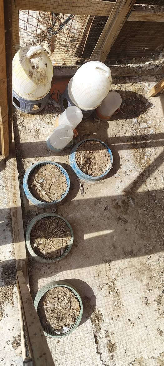 للبيع وجهيه 3ونص طول ارتفاع متر و75 بابين بيهه وسراقي شغل درجه اولئ
11 حله مناهل كبار وزغار عدد5 سلات 4كلهن ب 75 مكاني بابل ابو غرق ***********
