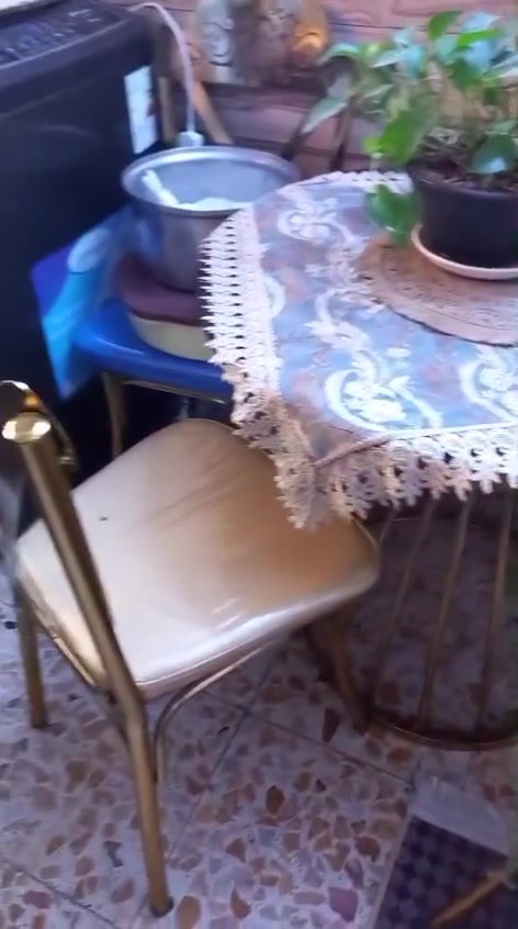 ميز طعام جديد ماخذي بعده بلايلون ماخذي ب٣٠٠ نريده ب٢٥٠ مكفه للمطبخ


**إذا كنت صاحب هذا الإعلان وتريد حذفه لأي سبب، رجاءا أرسل رسالة إلى الدعم الفني**