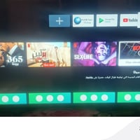 شينون • ٤٣ بوصة • جديدة استعمال شهرين