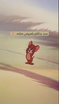 طقم مكياج ١٥ قطعة • كريم أساس وباودر • ايلاينر ٢٤ ساعة