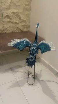 طير • بغداد