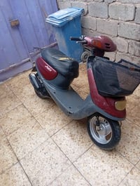 منغولي • مكفولة • نقصها صفاحية