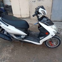 سكنس فحل • ياباني • شلعة فول