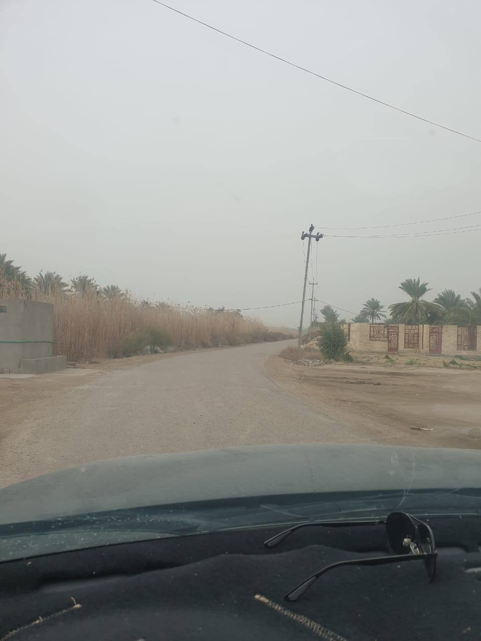 دونم ملك صرف سند ٢٥ تحويل مباشر طريق صويره جبله قرب محطة علاء يحتوي على دار استراحه حديث موقع جدا هادئ وجميل يبعد عن الشارع العام ٥٠٠ متر تبليط واصل للباب مع كافة الخدمات مزروع نخيل برحي ٣٠ ونوع مجهول ١٠ ونوعيات نادره ١٠ مع أشجار تفاح ورمان وتين وأنواع أخرى الي يرغب بشراء الاتصال بصاحب الأرض رجاءا مكلفه بلنشر 
***********
