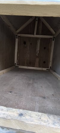 بيت قطط • تكريت