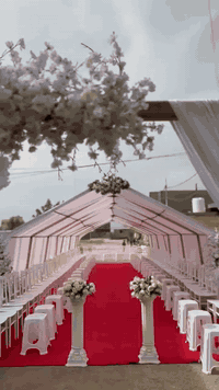 الف مبروك كادرقاعة الاميرات الإسكندرية للحجز*********** للحجز والاستفسار مراجعه قاعة الاميرات الإسكندرية قرب النفق
