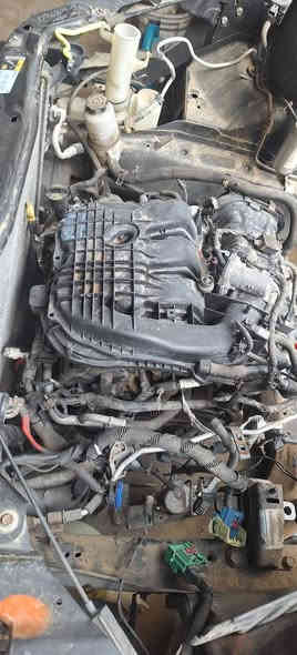 عنوان. كربلاءء حي المعلمين شاررع المركز
توجد نواعم كل الموديلات 
يوجد توصيل الى كل مكان 
للاستفسار
***********
***********
متواجدد خاص
