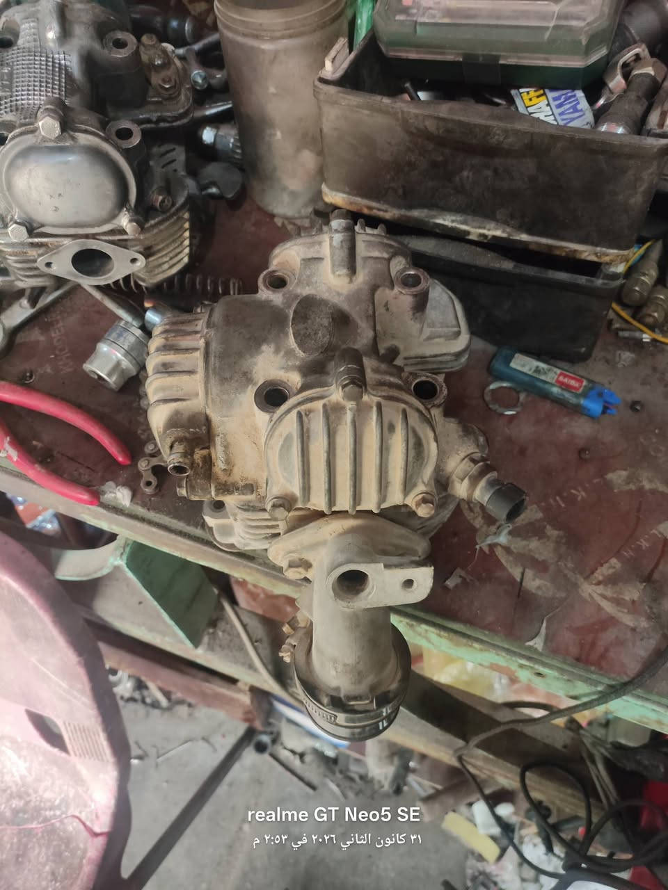 سلام عليكم للبيع كورات سكنس ١٤٠ فحل نضاف مثل مشوف سعر لقطعه ٥٠ الف عنوان بغداد البلديات ***********
