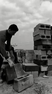 رافعة ونج كهربائي • تصعيد مواد بناء • صب أساسات وأسقف