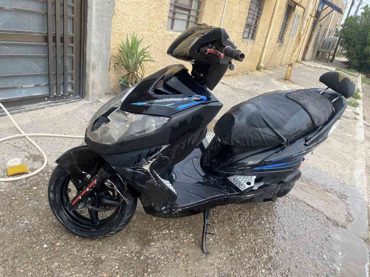 سكنس فحل للبيع ***********
