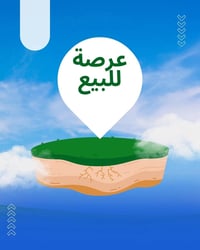 ام الخيل الثانيه • ٣٠٠م • واجهة ١٥م