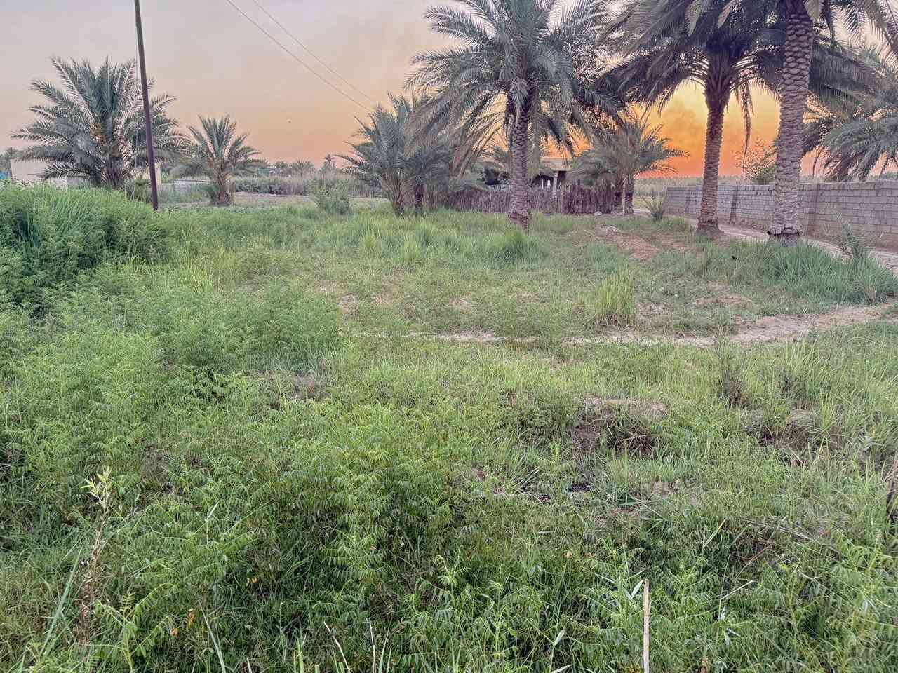 السلام عليكم دونم للبيع يحتوي على دار حديث البناء 
في طريق الجبلاوية تحويل مباشر بسم المشتري سند 25

***********
