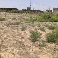 حي المنصور • ٤٠٠م • ٢٠٠م شارع العام