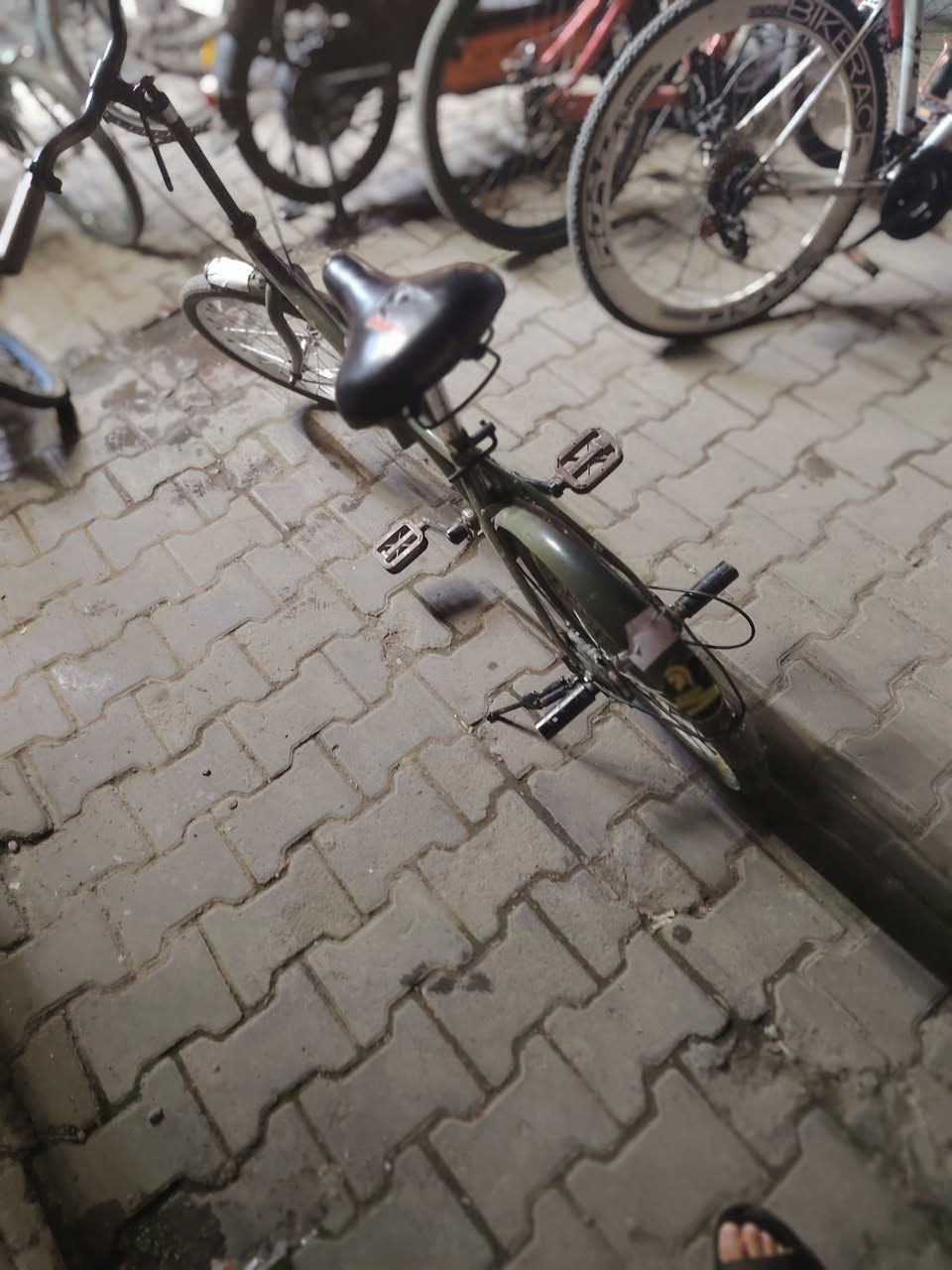 بايسكل ابو الطبكة للبيع السعر ٥٠ وبي مجال كركوك حي عدن بيع مستعجل


**إذا كنت صاحب هذا الإعلان وتريد حذفه لأي سبب، رجاءا أرسل رسالة إلى الدعم الفني**