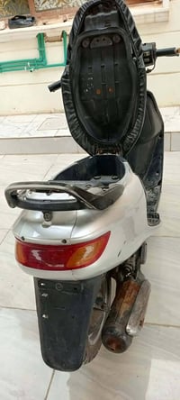 فراشة • حاوية • شغالة