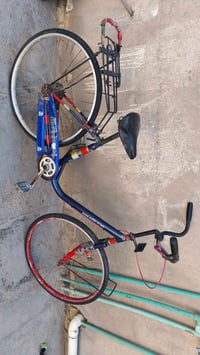 بايسكل • ياباني • القاسم