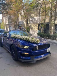 عيد مبارك عليكم موستنك 2016 كشف رقم بغداد باسمي تحويل ثاني يوم السياره...