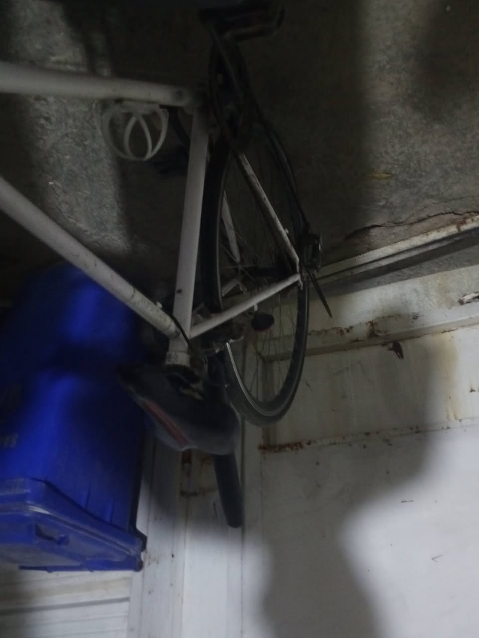 بايسكل رياضي ياباني لون أبيض مال سباق ورحال بين المحافظات السعر75 وبي مجال هواي العنوان الغزالية نزله الجسر التواصل خاص كلشي شغلات


**إذا كنت صاحب هذا الإعلان وتريد حذفه لأي سبب، رجاءا أرسل رسالة إلى الدعم الفني**