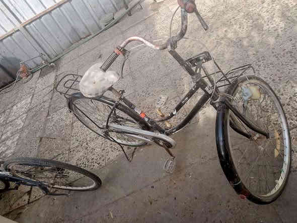 ثلاث بايسكلات 
الاول الاسود كامل نوعيه اصليه 
والثاني الاحمر نقصه تأثير امامي وسرج
والثالث مال سباق نقصه جوب وتاير    وباقي التفاصيل بالصور 
للبيع كلهن ب١٠٠ واذا واحد هم منختلف 
مكاني بغداد العامريه
للاستفسار مراسله ماسنجر او واتساب على الرقم
*********** بغداد
