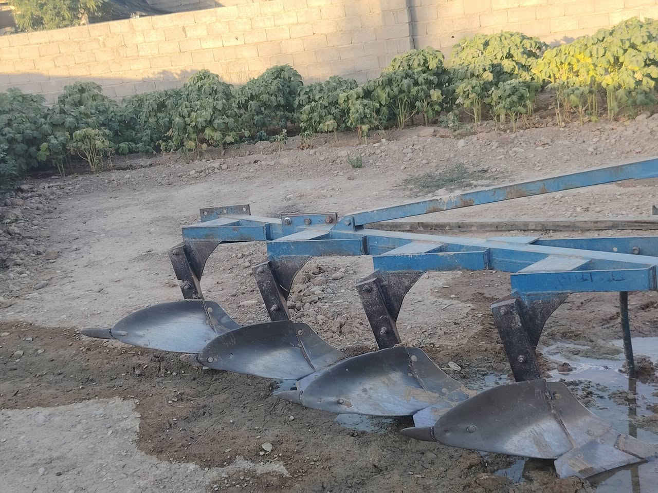 فدان للبيع رباعي سلوم حجم 12
الموقع :ديالئ جلولاء ام حنطه
تصال ***********
