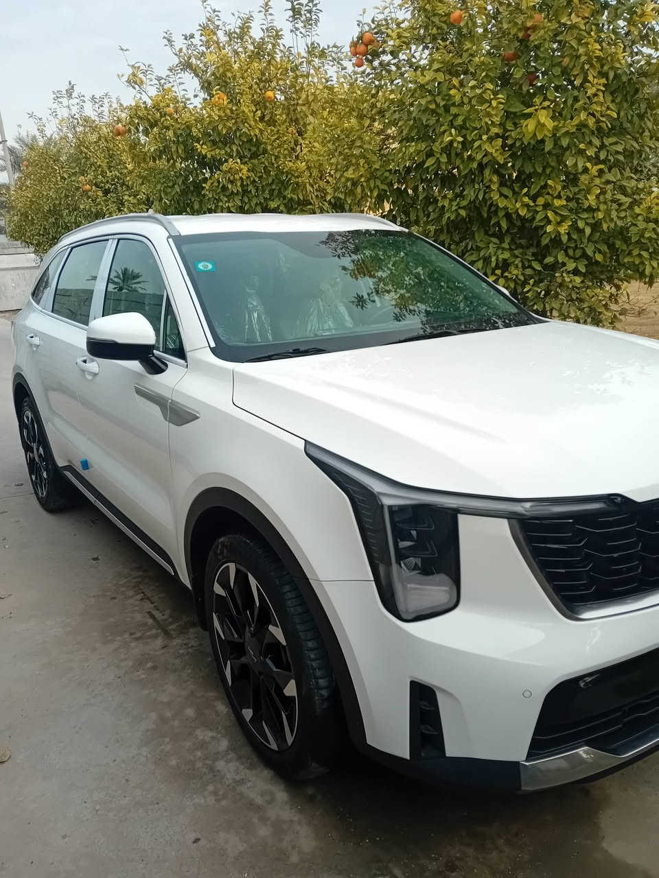 السلام عليكم سورنتوخليجي ٢٠٢٤ بغداد ٦سلندر ٧راكب مكفوله عامه ويل٢٠ بوتشو بصمتين فول مواصفات ماشيه ١٢  الف شحن لاسلكي اربع وضعيات قياده دبل كشن كهرباء حساس أمامي خلفي جلاد الشركه مكان بغداد اليوسفيه السعر ٣٢٥ $ هاتف  *********** و***********
