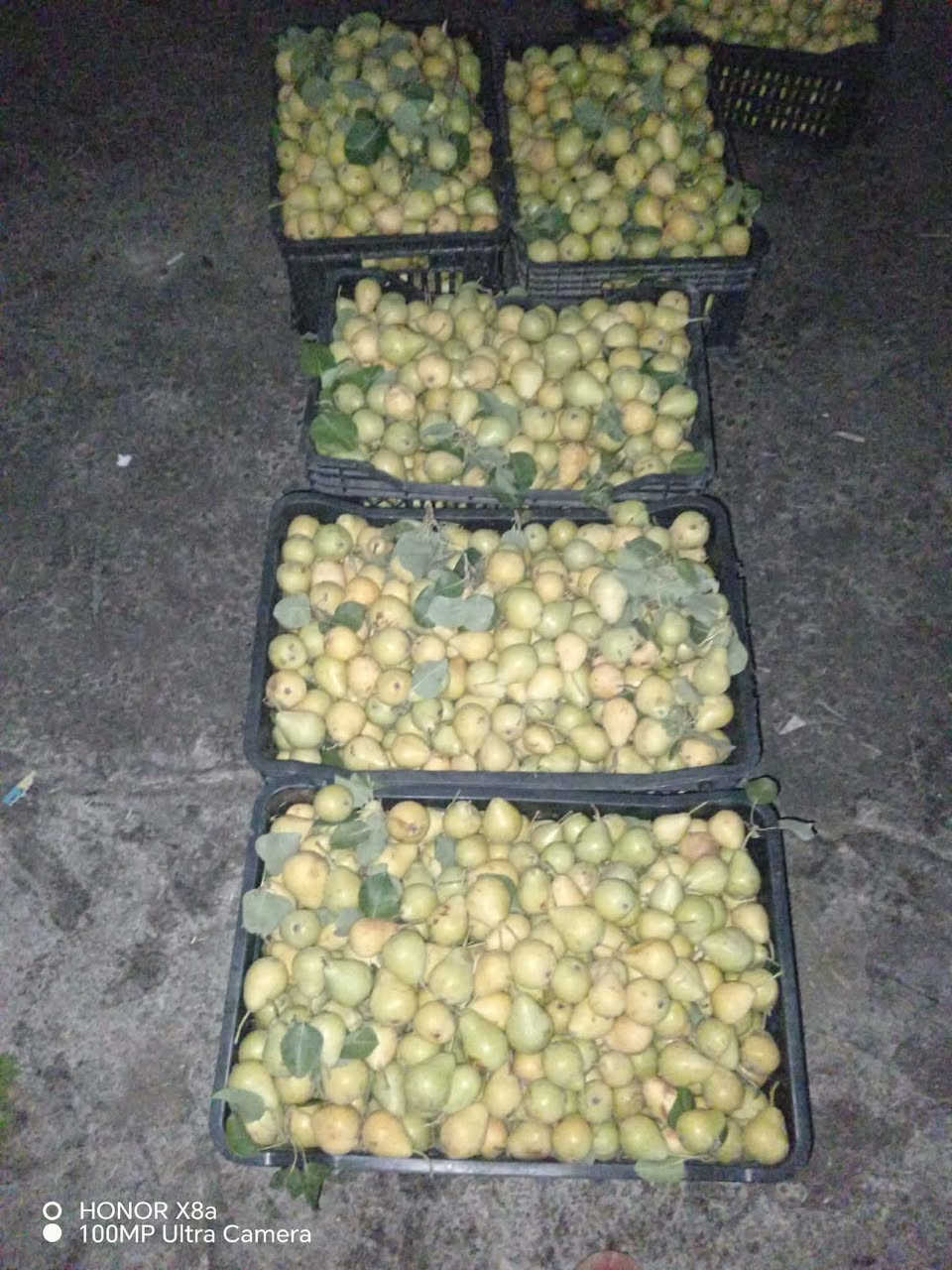 مسواك اليوم الاربعاء ٦/٢٤ علوة الحقلانية المركزية السبهاني بدايه سوق حقلانيه يوجد خدمه توصيل


**إذا كنت صاحب هذا الإعلان وتريد حذفه لأي سبب، رجاءا أرسل رسالة إلى الدعم الفني**