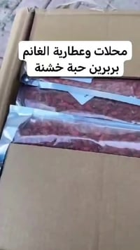 بربرين • حبة خشنة • سوق العطارين