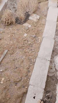 قطعة أرض • حي الفاروق • طابو