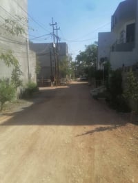 زراعي • سند ٢٥ • ١٥٠م