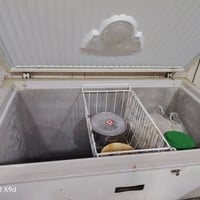 مجمدة • تجمد • على الفحص