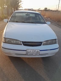 برنس فراشة • اوتوماتيك • تحويل ثاني يوم