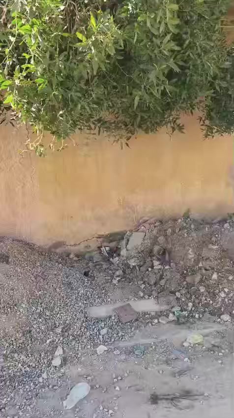 يا الله
دار طابو زراعي سند 25 للبيع
المساحة 255 متر
موقع الدار كربلاء طويريج  الجمعية شارع اصحاب الكساء
الواجهة 17 متر
يحتوي الدار على كراج سيارة 
وصحيات داخلية وخارجية
غرفتين نوم 
مطبخ صالة استقبال 
ممر بعرض 2 متر محيط بالبيت
واصلة كل الخدمات 
تبليط مقرنص مي مجاري كهرباء

للاستفسار اكثر الاتصال على الارقام التالية
***********
0780 122 4817
او زيارة مكتب ابو علي للعقار
موقع المكتب طويريج الجمعية قرب مدرسة نبع المعرفة
