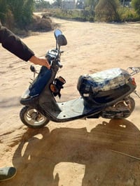 منغولي فحل 200وبيةمجال07887365487