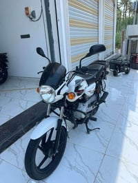 بوكسر • موديل 22 • مرقمه لوحه