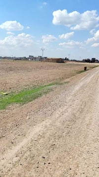 البكاره • دونم • واجهة ٧٠م