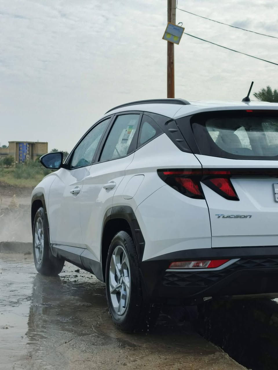 توسان خليجي كفاله عامه بدون ارقام تترقم عموم العراق مديل 24 السعر 207 ***********
