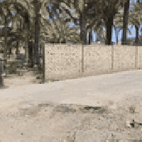 ٢٠٠٠م • واجهة ٣٤م • قرب الوحدة الوطنية