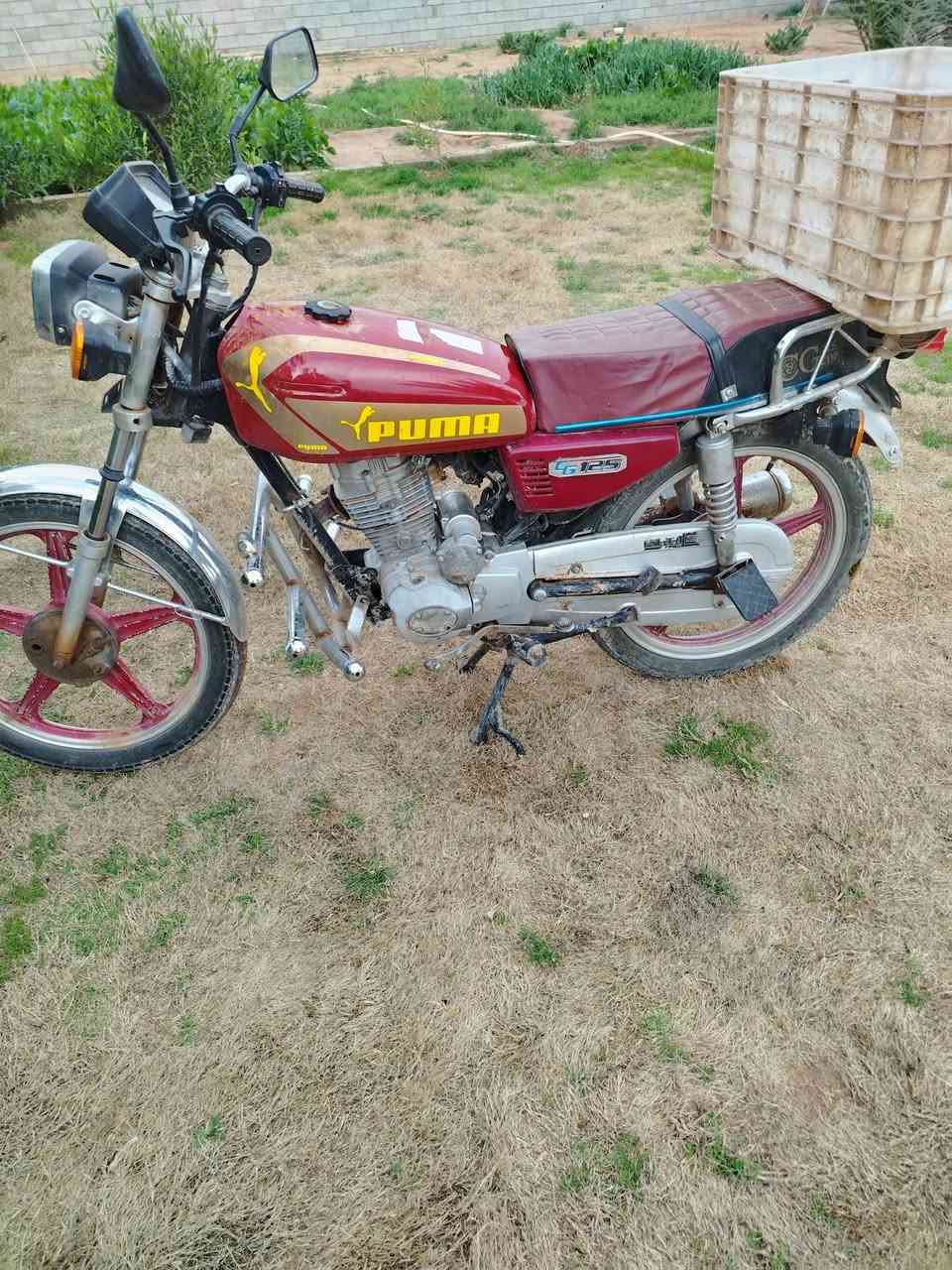 موطور تايكر للبيع موديل ٢١ سعر على هاذة الرقم
***********
