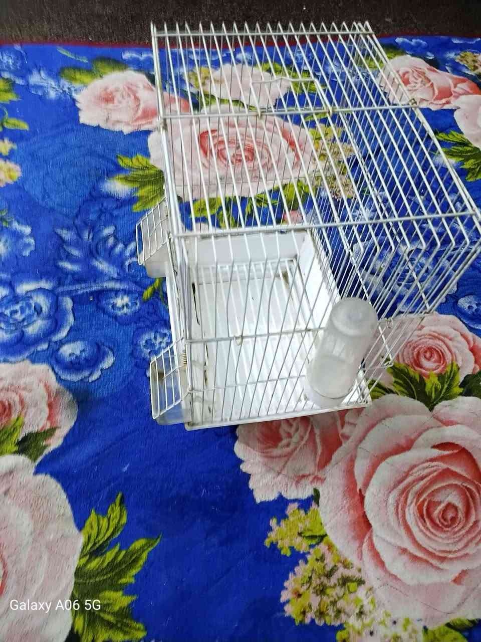 قفص خشب تفصال طول متر /السعر


**إذا كنت صاحب هذا الإعلان وتريد حذفه لأي سبب، رجاءا أرسل رسالة إلى الدعم الفني**