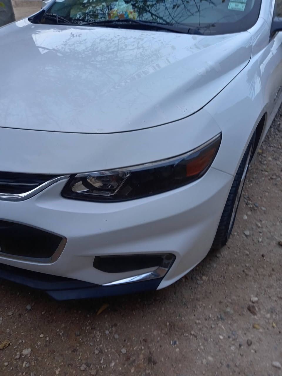 ماليبو ١٨
Lt
سعرهها 100
***********
