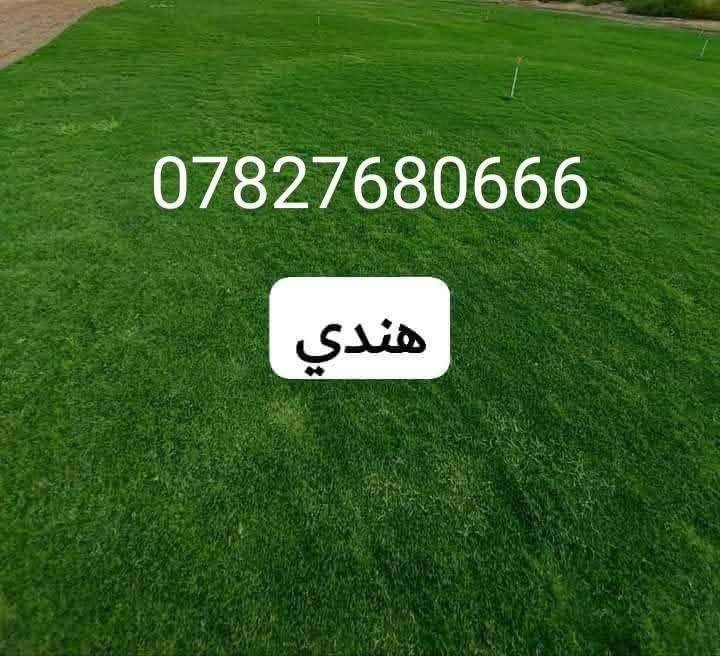 في بداية الموسم الجديد نعلن لكم بيع الثيل الهندي #درجة اولى خضار ١٠٠./. يتحمل جميع الظروف المناخيه
ثيل طبيعي وخضار ولا اروع 💚

نوعية ممتازة ودرجه اولى ⁦1️⃣⁩
ودائم الخضره 

ثيل #هندي  #امريكي   #ايطالي #انكليزي

اسعارنا الانسب وتوصيلنا الاسرع  لكافة محافظات العراق
لمعرفة المزيد راسل الصفحه او اتصل ***********/
*********** متوفر واتساب
