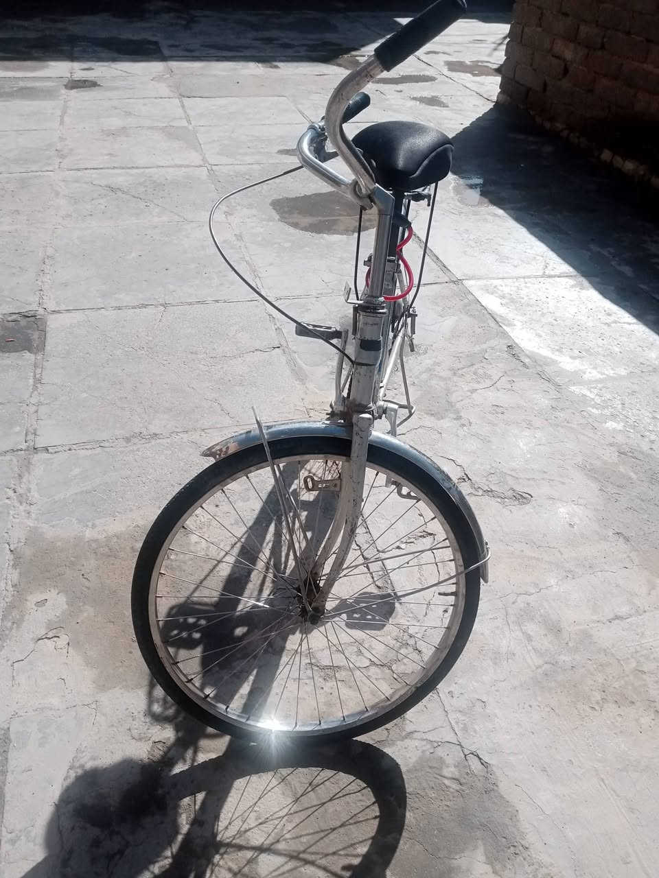 السلام عليكم باسكل لبيع 24 بناتي


**إذا كنت صاحب هذا الإعلان وتريد حذفه لأي سبب، رجاءا أرسل رسالة إلى الدعم الفني**