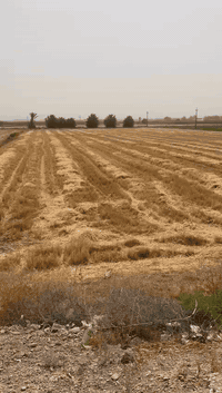 السلام عليكم قطعه ارض 11دونم للبيع في جزيره
الخالديه قرب جسر الصديقيه منطقه البوعيثه للاستفسار اتصال برقم *********** وممكن تتقطع لي دونم حسب الطلب الدونم الواحد الورة 55 وبيها شارع
