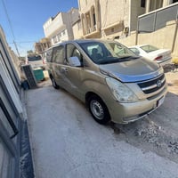 ستاركس • ٢٠٠٨ • صبغ