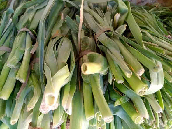 صلو على الحبيب قلبك يطيب

بسم الله ماشاء الله
خيرات اليوم السبت 2025/11/22

#يوجدلدينا #خدمة #توصيل #كافت #مناطق #ابوغريب

اتصل يوصلك طلبك اباب بيتك

الفرع الاول خرنابات شارع السچه 

***********///***********

#يوجدلدينا #دجاج #ذبح #عراقي

#اسعار #الخضراوات
فجل احمر 250
فجل ابيض 250
اشبنت 250
كزبره 250
حلبه 250
سلك 4/1000
اسبيناغ باكه 750
خضراوات مشكل  10/1000
طرشي امزيت منوع 5000
طرشي مشكل عادي 2500
طرشي عمبه كيلو 3000
خل اسود اصفر ابيض 1000
يتوفر لدينا جبن عرب كيلو 5000
