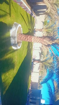 كادر حدائق • درجة أولى • شغل بالمتر